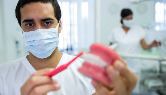 Dentist demonstrating oral hygiene and dietary care after dental implant treatment.